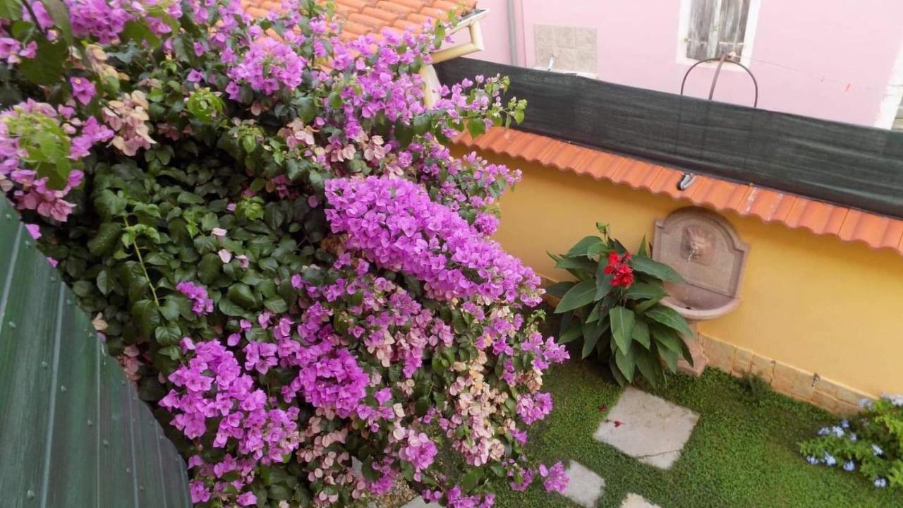 Villa House Justina à Zadar Extérieur photo