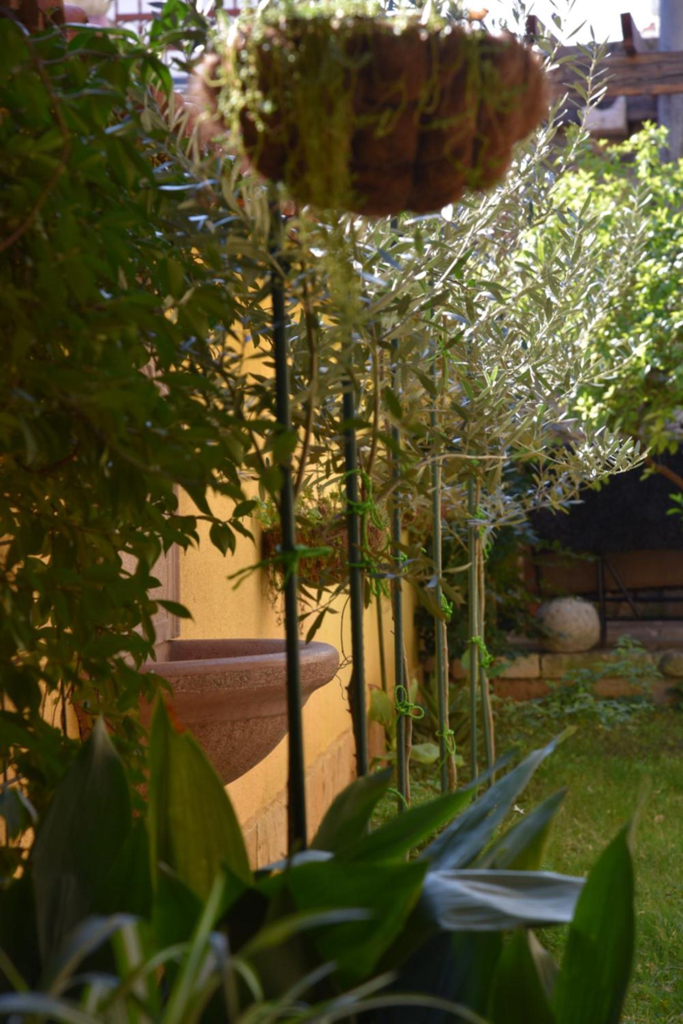Villa House Justina à Zadar Extérieur photo