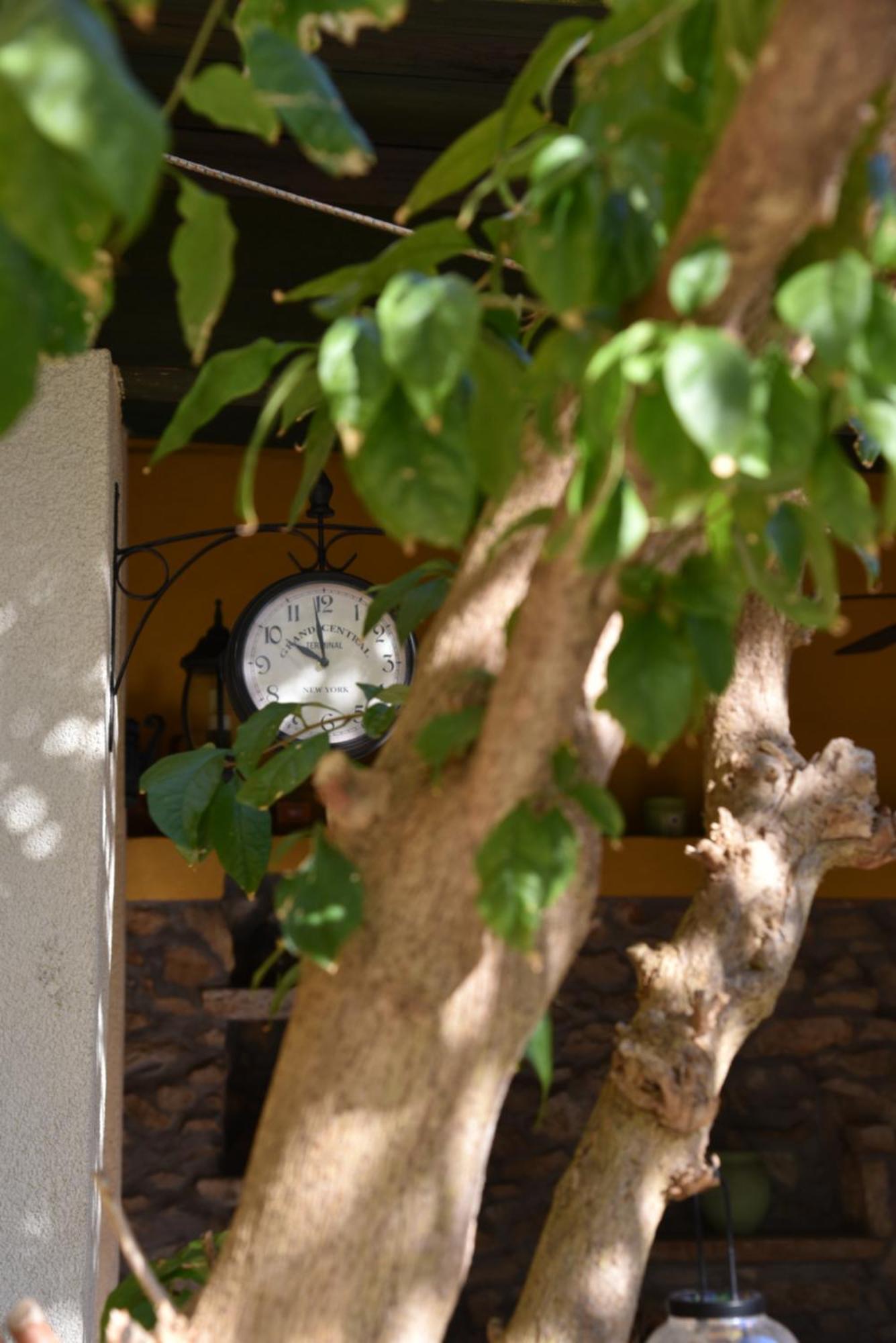 Villa House Justina à Zadar Extérieur photo